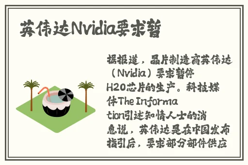 我顶开妈妈的生命上之门目录